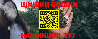 шишки Конаково