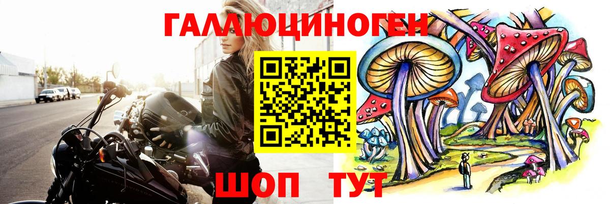 Псилоцибиновые грибы Cubensis Изобильный